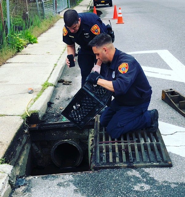 Policías de Suffolk rescatan a 14 patitos que cayeron en un drenaje pluvial