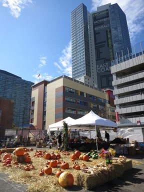 Celebra octubre en el Mercado de Pulgas de LIC