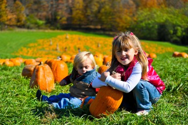 A recoger calabazas en granjas y festivales de Long Island