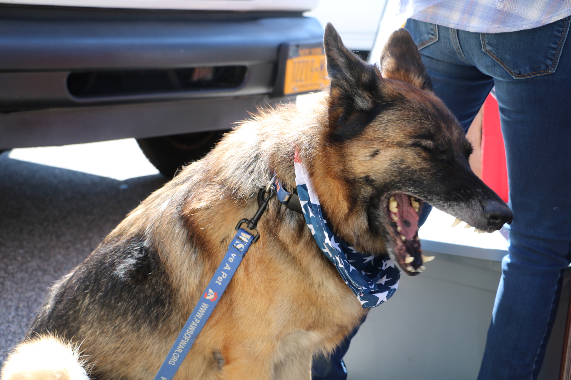 Legislador Sam González apoya clínica móvil para mascotas de veteranos (Fotos)