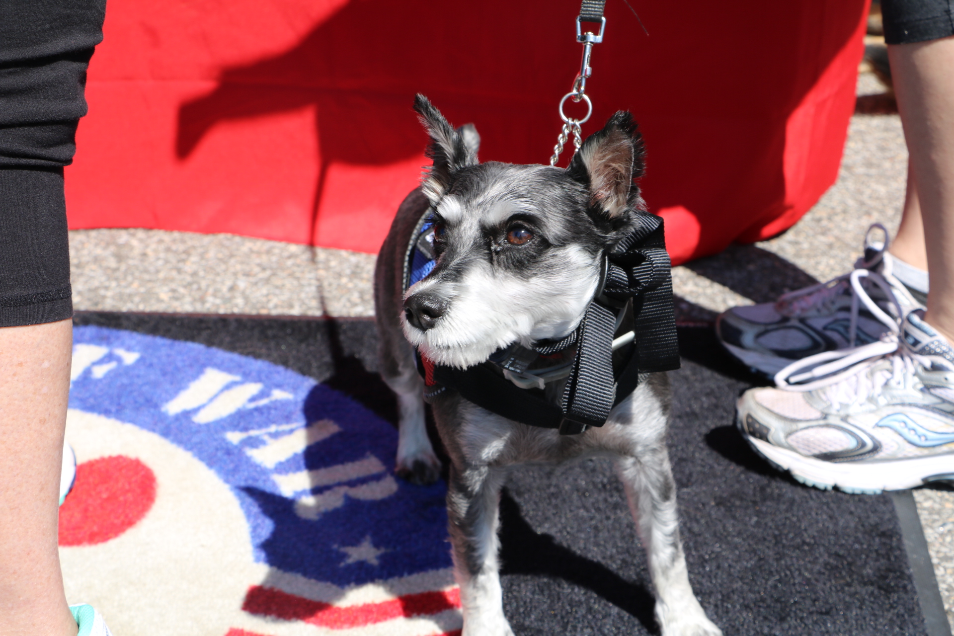 Legislador Sam González apoya clínica móvil para mascotas de veteranos