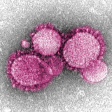 Universidad de Hofstra y escuelas de Shoreham-Wading River cancelan clases debido al coronavirus