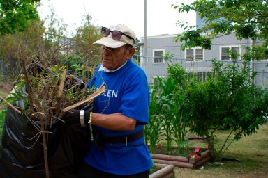 ¿Quién recibirá 1.200 dólares? Los detalles del paquete de estímulo