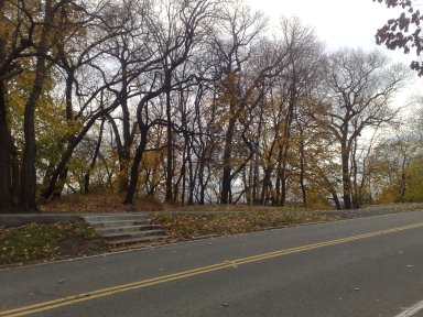 Inicia implementación de hasta 100 millas de calles seguras en la ciudad de Nueva York