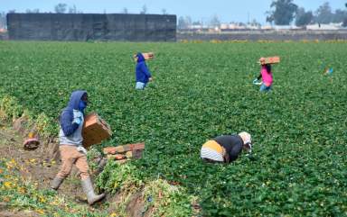 Los inmigrantes impulsan el crecimiento de la fuerza laboral en EEUU