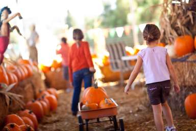 Vívelo LI : A disfrutar los festivales de otoño