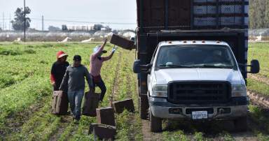 Grupos proinmigrantes de NY reclaman fondos de 3 mil millones para trabajadores excluidos