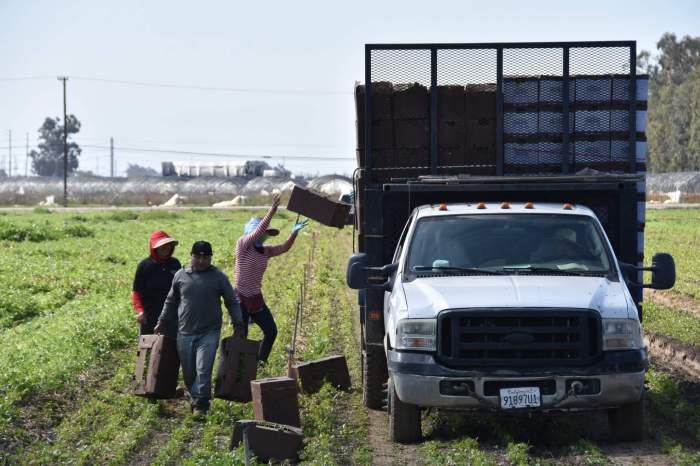 Alientan a indocumentados víctimas de abuso laboral a acogerse a protección