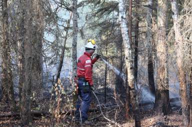 Se duplican casos de asma en NY por el humo de incendios forestales