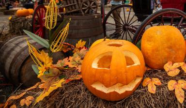 Vívelo LI : A aplastar Calabazas en Festival en Manhasset