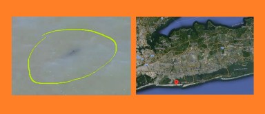 Más avistamiento de tiburones en Long Island, vigilan con drones