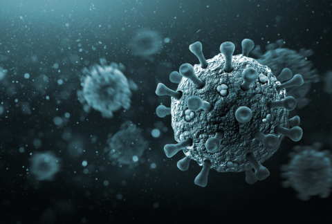 Instan a protegerse de los cambiantes virus de la gripe y el COVID-19