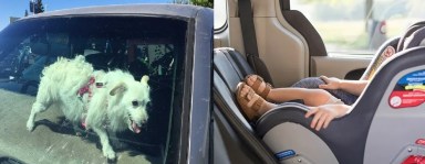 Nunca deje a los niños ni a las mascotas en autos calientes en verano