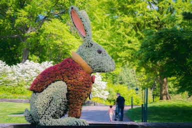 Wonderland: Curious Nature, Jardín Botánico de Nueva York, País de las Maravillas