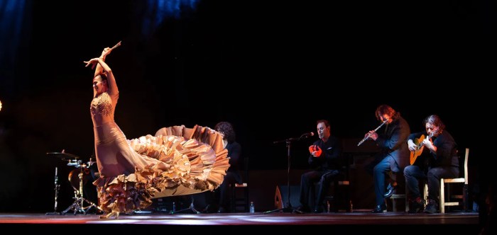 Flamenco, Siudy Garrido Flamenco Company