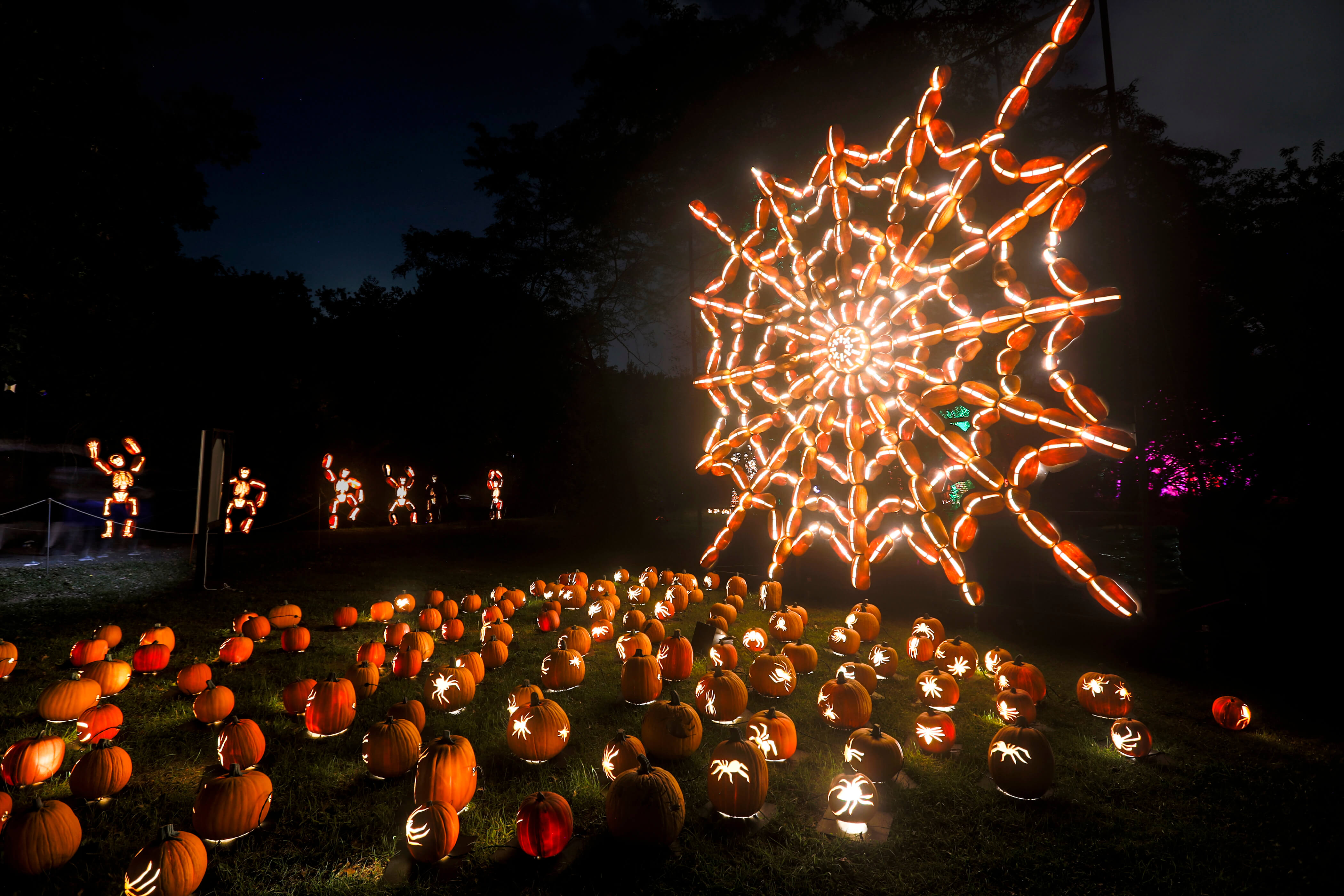 The Great Jack O’Lantern Blaze vuelve con nuevas y sorprendentes exhibiciones