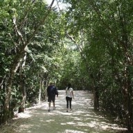 Lanzan programa de caminatas naturales activas en parque de Suffolk