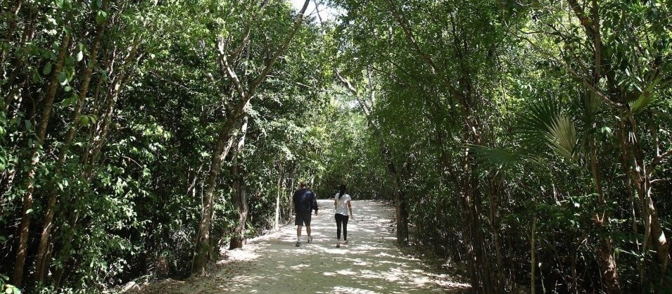 Lanzan programa de caminatas naturales activas en parque de Suffolk