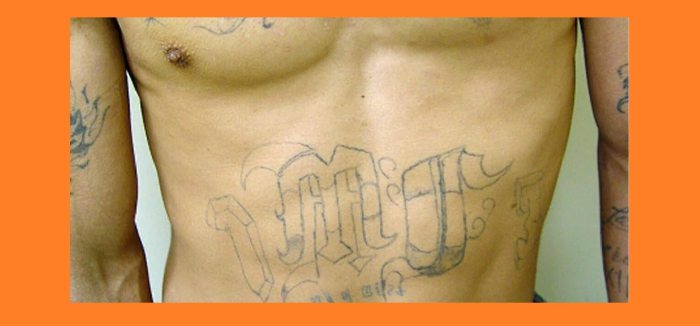 Acusan a dos líderes de la MS-13 por brutales asesinatos en Long Island y Queens