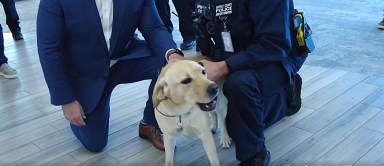 Nuevo perro policía patrulla en el Aeropuerto MacArthur de Long Island