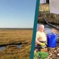 Invierten $3.5 millones para proteger y restaurar la reserva del estuario de la costa sur de Long Island