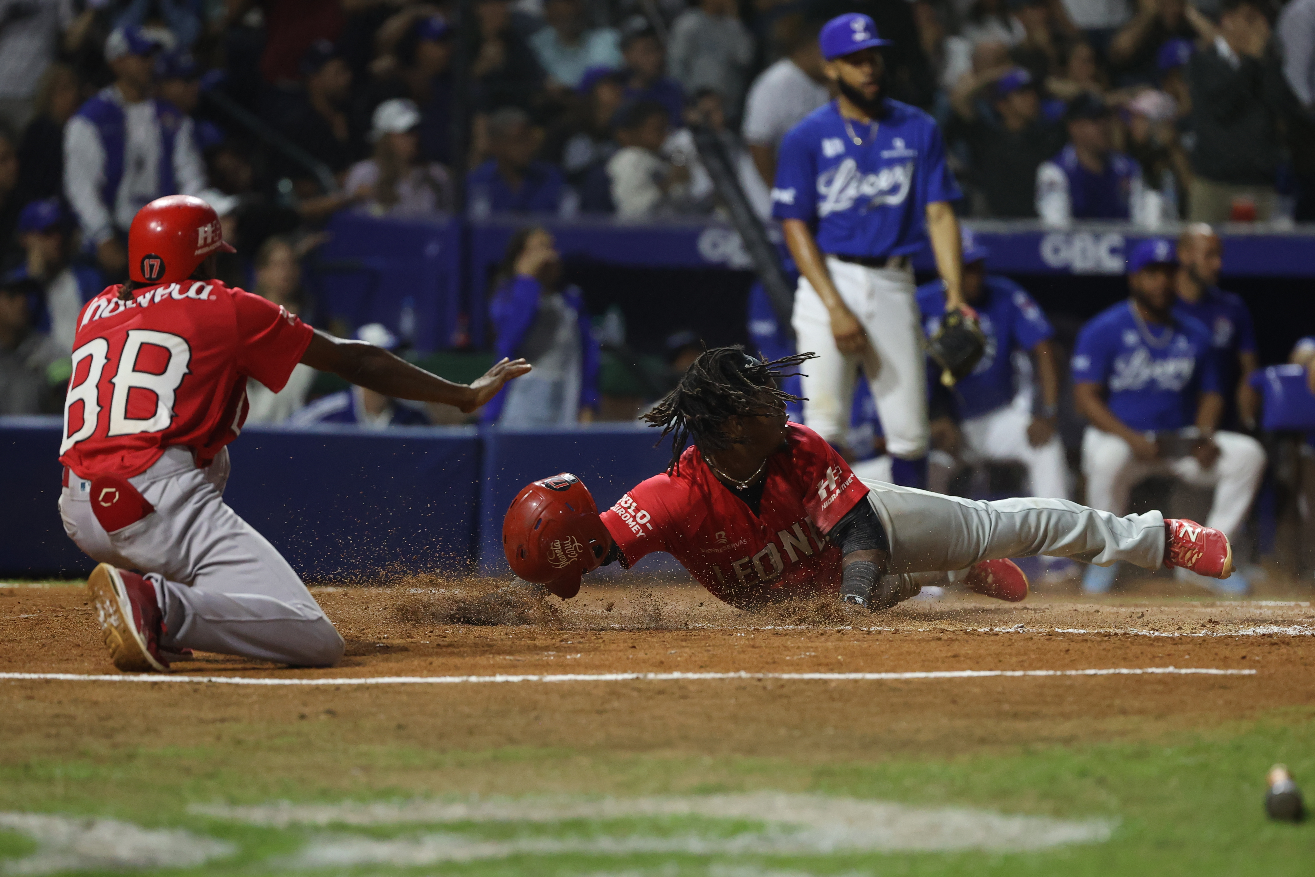 Leones del Escogido se corona en República Dominicana y se matricula en Serie del Caribe