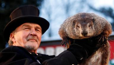 La famosa marmota Phil predice que el invierno será más largo de lo esperado